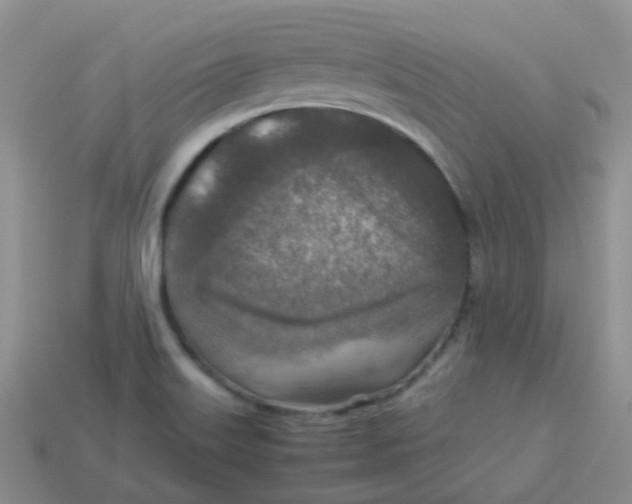 X0000113371515200910131310