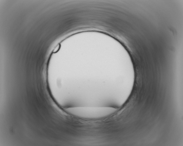 X0000113371516200910131310