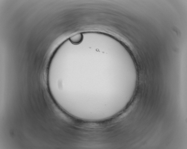 X0000113371517200910131310