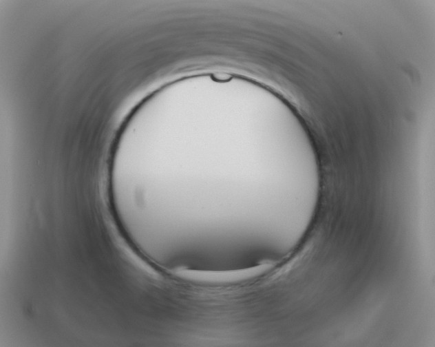 X0000113371518200910131310