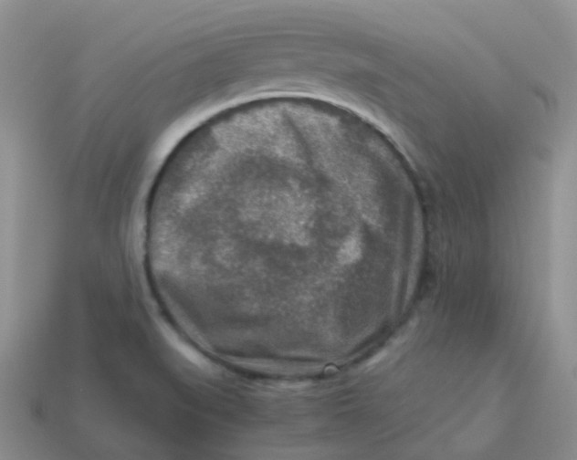 X0000113371519200910131310