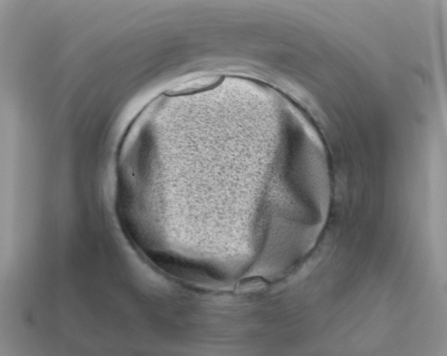 X0000113371520200910131310