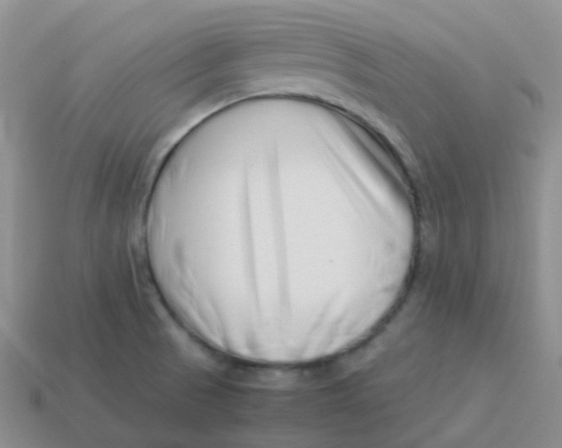 X0000113371521200910131310