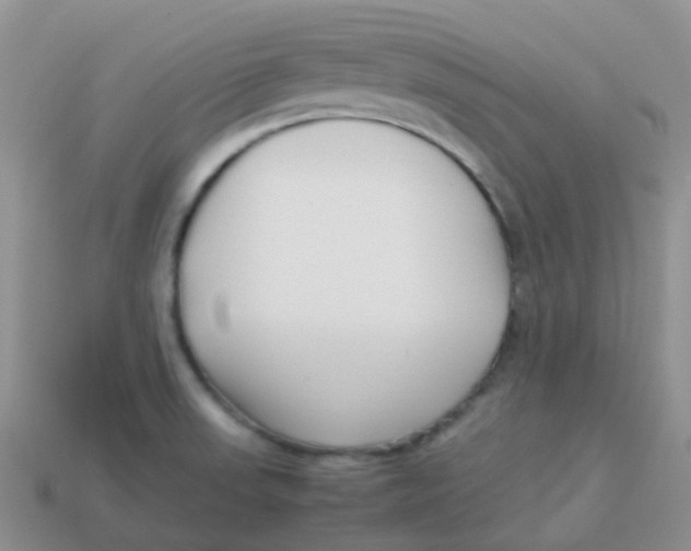 X0000113371523200910131310