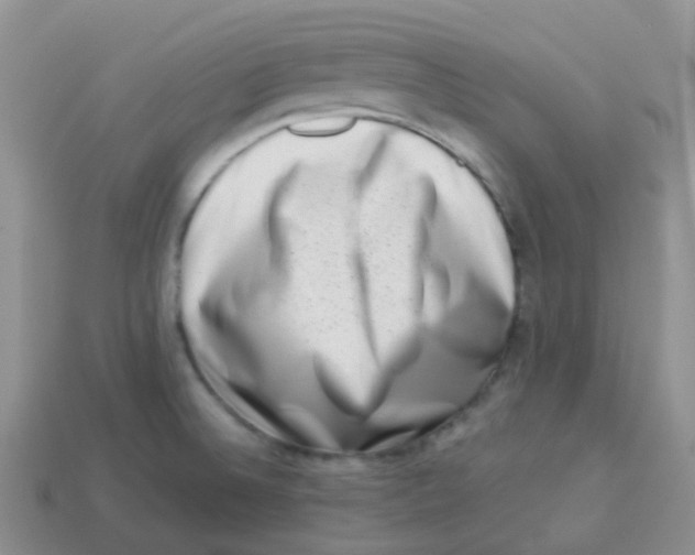 X0000113371524200910131310