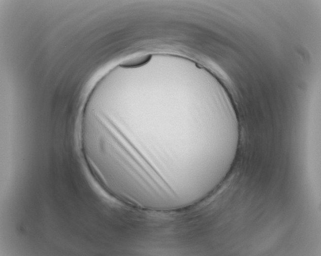 X0000113371528200910131310
