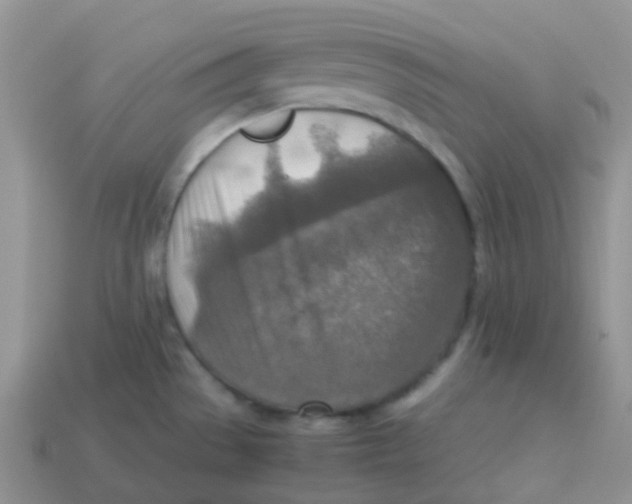 X0000113371529200910131310
