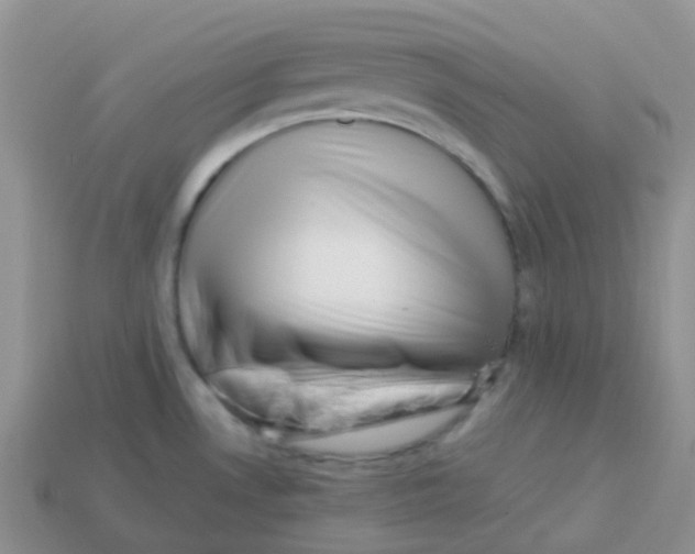 X0000113371530200910131310
