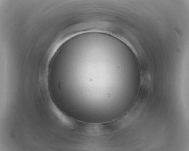 X0000113371532200910131310