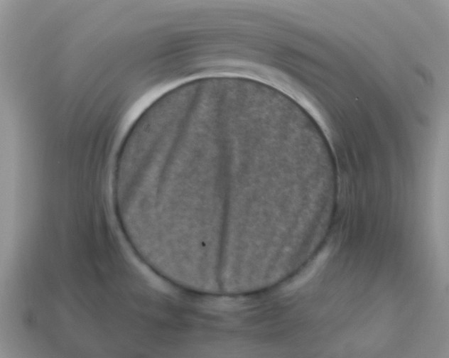X0000113371533200910131310