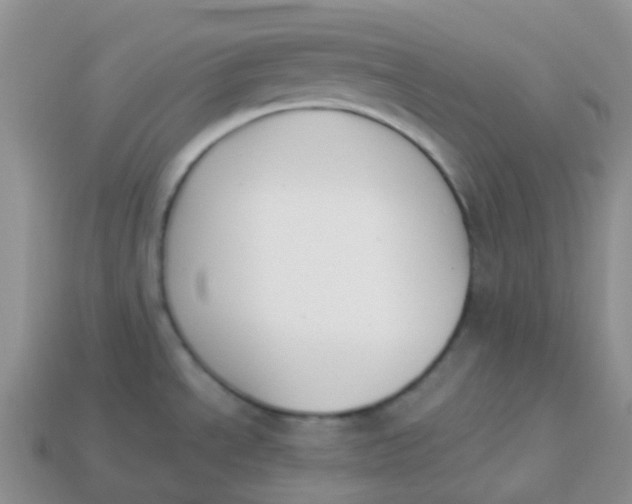 X0000113371534200910131311