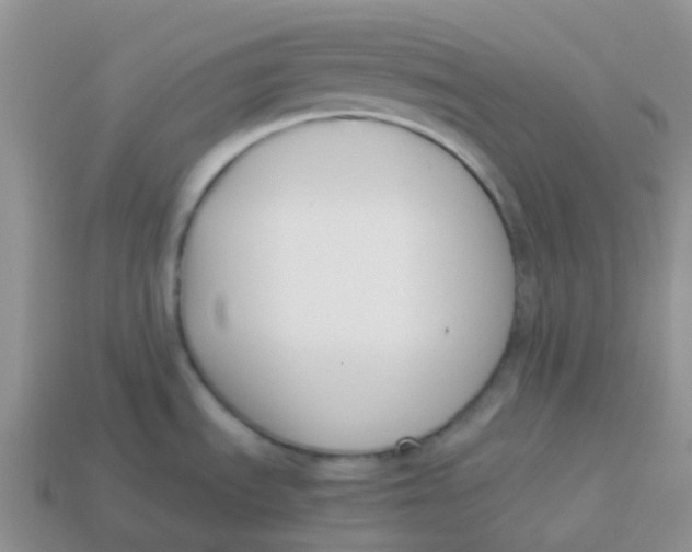 X0000113371535200910131311