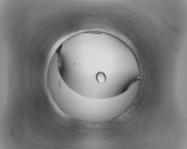 X0000113371536200910131311