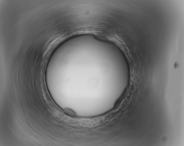 X0000113530001200909181011