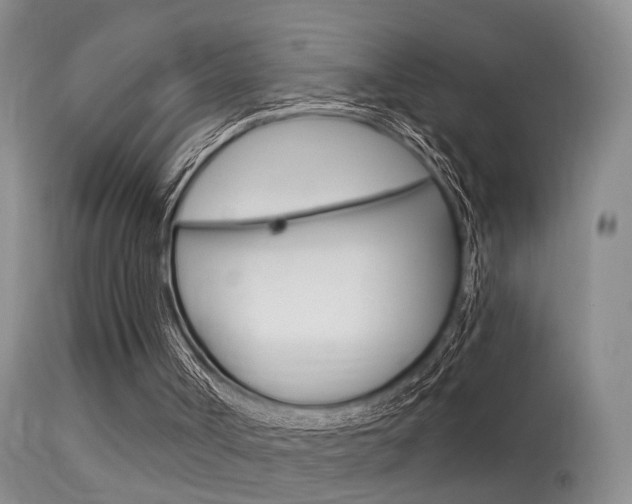 X0000113530002200909181011