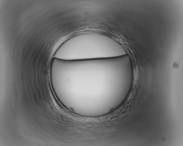 X0000113530003200909181011