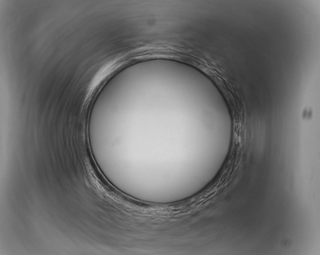 X0000113530004200909181011