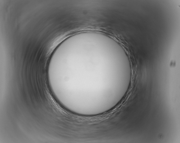 X0000113530005200909181011