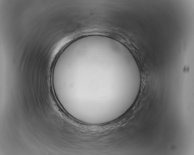 X0000113530006200909181011