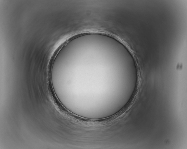 X0000113530008200909181010