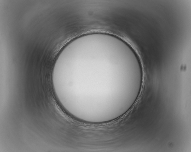 X0000113530009200909181010