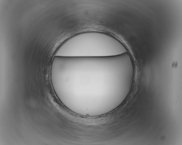 X0000113530010200909181010
