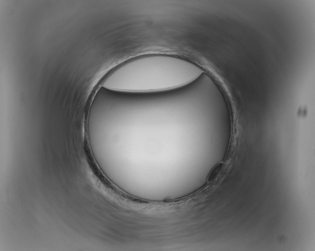 X0000113530011200909181010
