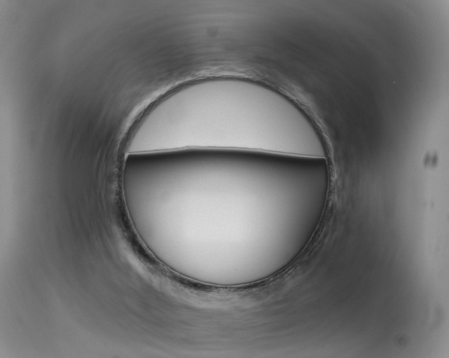 X0000113530012200909181010