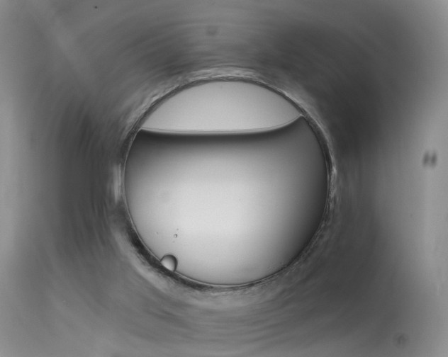 X0000113530013200909181010