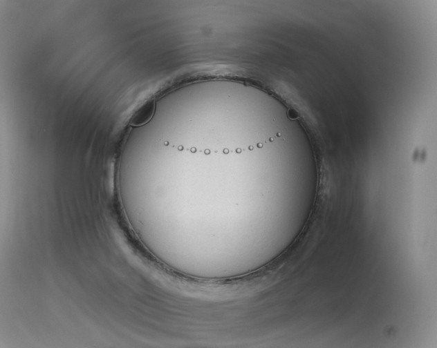 X0000113530014200909181010