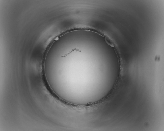 X0000113530015200909181010