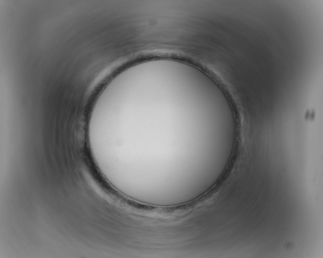 X0000113530016200909181010