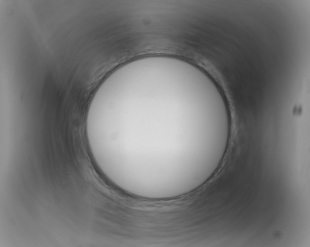 X0000113530017200909181010