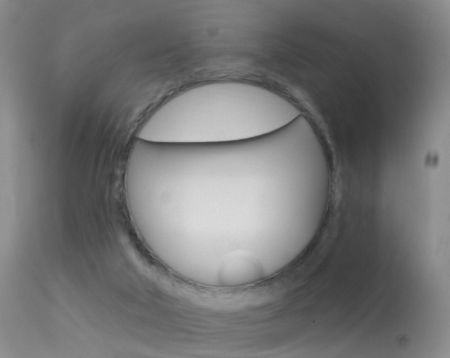 X0000113530018200909181010