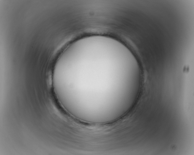 X0000113530020200909181010