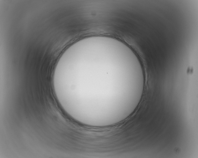X0000113530021200909181010