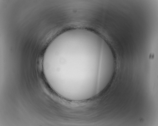 X0000113530022200909181010