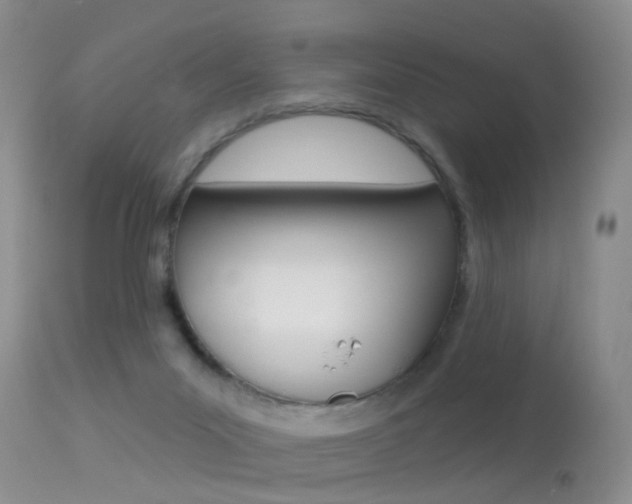 X0000113530023200909181010