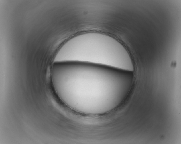 X0000113530024200909181010