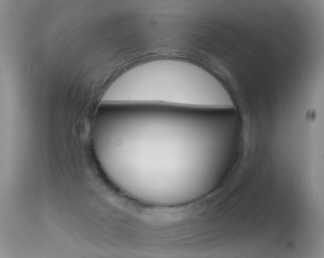 X0000113530025200909181010