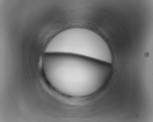 X0000113530028200909181010