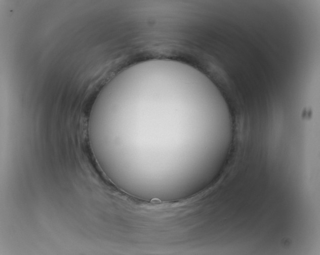 X0000113530029200909181010