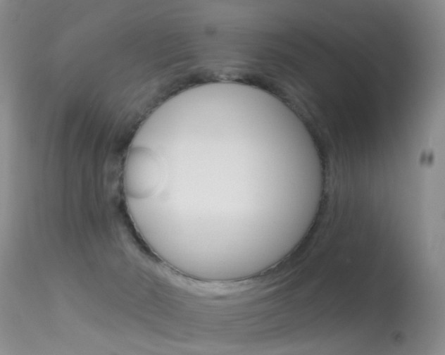 X0000113530030200909181010