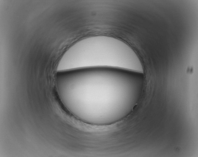 X0000113530031200909181010