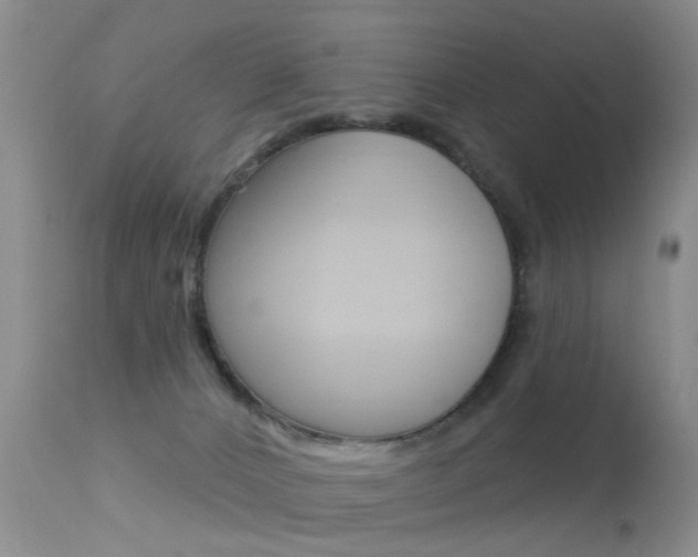 X0000113530032200909181010