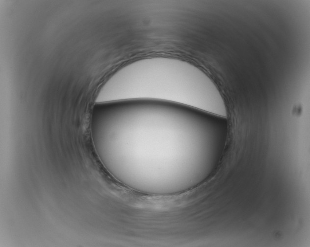 X0000113530033200909181010
