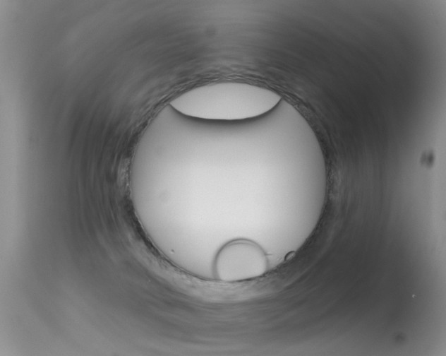 X0000113530034200909181010