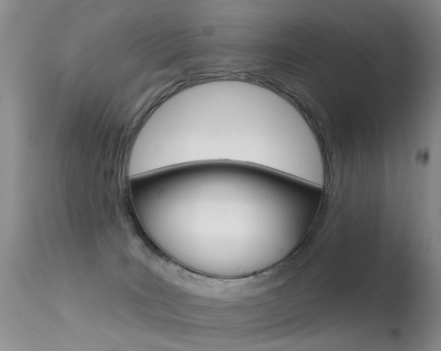 X0000113530035200909181010