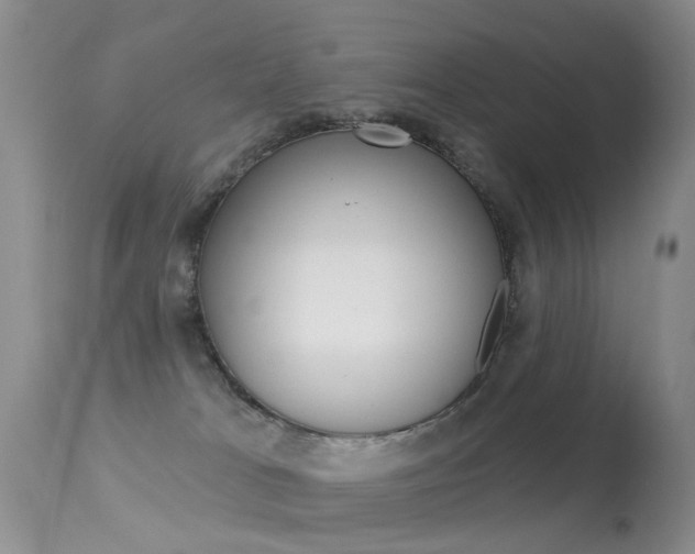X0000113530037200909181010