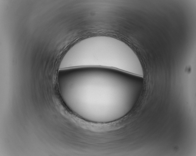 X0000113530039200909181010
